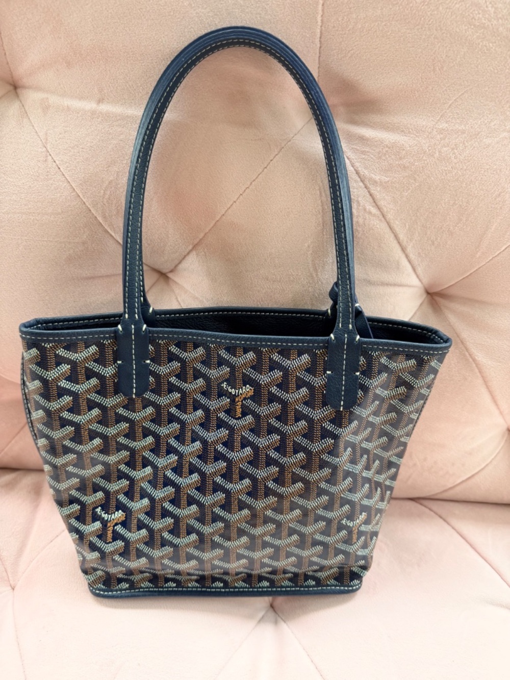 Goyard Mini Anjou Tote Bag - Picture 6 of 14